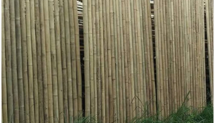 Bamboo fence