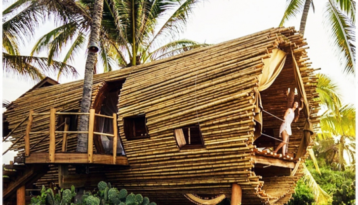 Bamboo houses