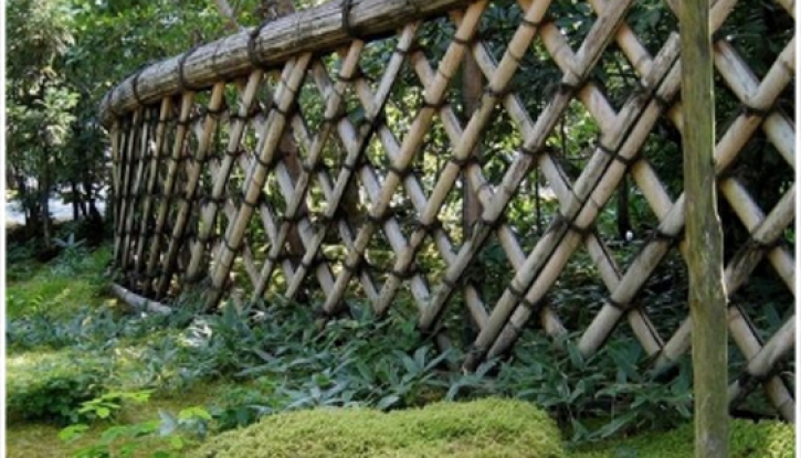 Bamboo fence