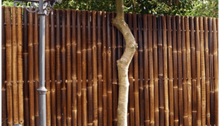 Bamboo fence